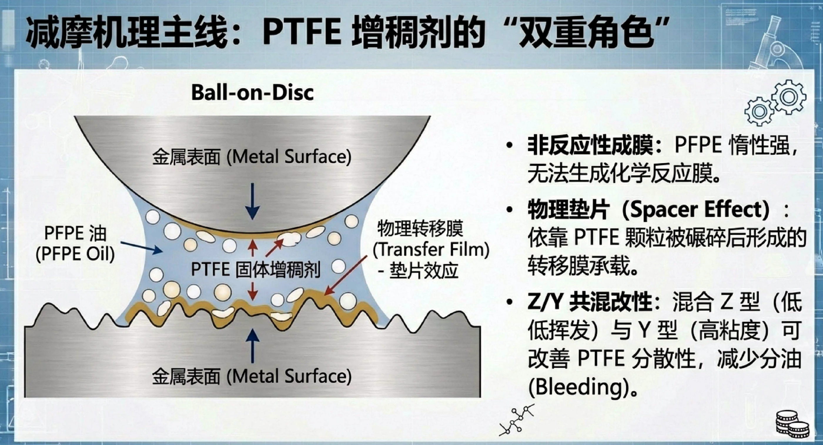 Z 型与 K 型 PFPE 摩擦系数对比