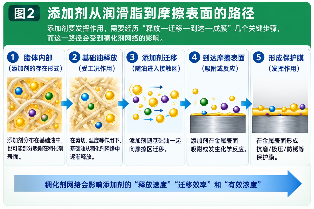 添加剂从润滑脂内部迁移到摩擦表面的路径